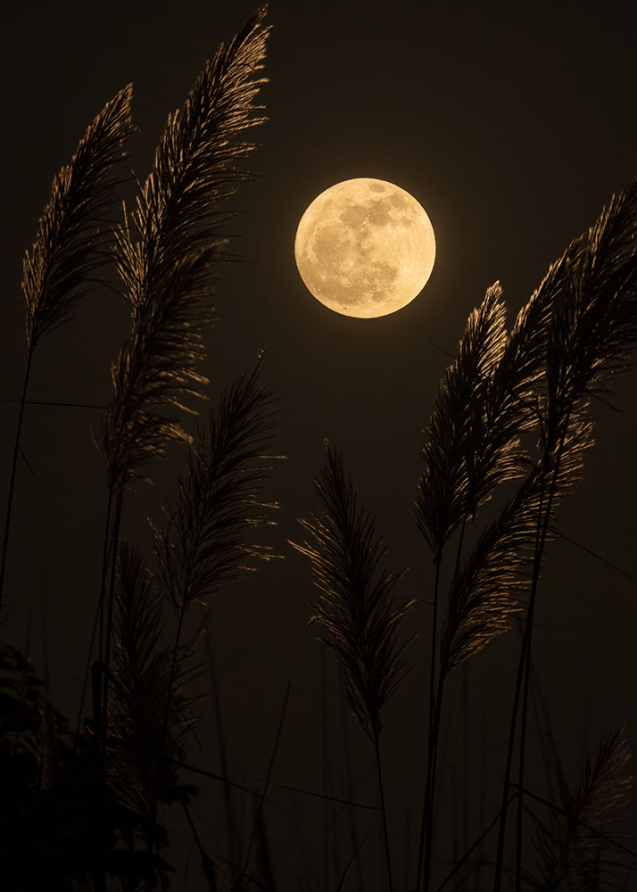 A full moon shining and illuminating ferns waving in the wind