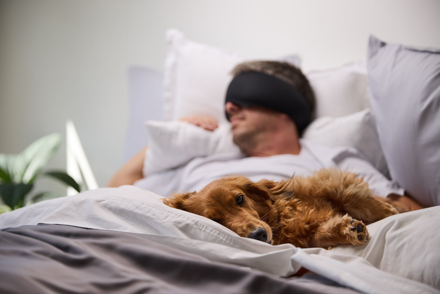 Man sleeping with a dog comfortably using Somni eye mask